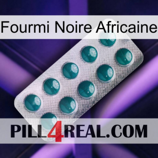 African Black Ant dapoxetine1